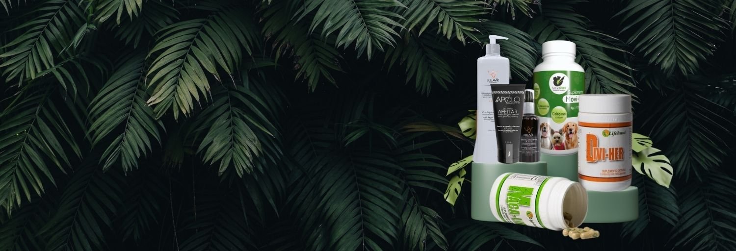 Contacto Bienestar Lifehuni